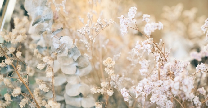 Microcurrent Concussion Brain Therapy